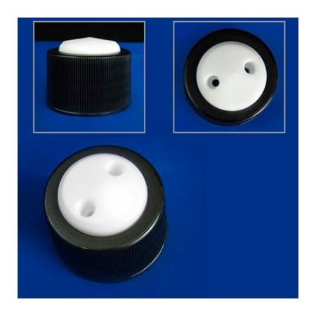 Cp Lab Safety. CP Lab Safety 2-Port Cap with Plugs, For Glass Bottles with GL38 Closure WF-GL38-2KIT